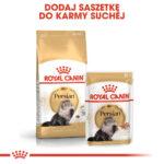 ROYAL CANIN Persian Adult 10kg - obrazek 6