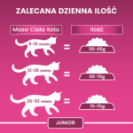 Purina One Junior Karma Kurczak Kocięta 800g - obrazek 6