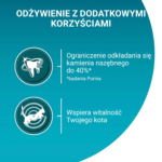 Purina ONE Adult: Karma z Łososiem 800g - obrazek 3