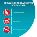 Purina One Sterilcat Łosoś 800g - obrazek 2