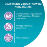 Purina ONE Sensitive z Indykiem 800g - obrazek 3