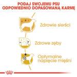 Karma ROYAL CANIN Pudel Adult 1,5kg - obrazek 6