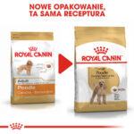 Karma ROYAL CANIN Pudel Adult 1,5kg - obrazek 9