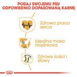 ROYAL CANIN Rottweiler Adult 12kg Karma - obrazek 4