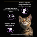 Purina Pro Plan Kitten NutriSavour Indyk 85g - obrazek 3