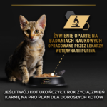 Purina Pro Plan Kitten NutriSavour Indyk 85g - obrazek 4