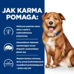 Hill's Prescription Diet Derm Complete 12kg - obrazek 4