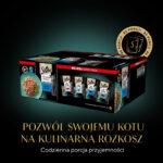Sheba Delicacy Rybne Smaki w Galaretce 80x85g - obrazek 12