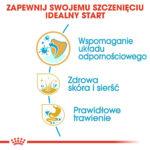 Karma Royal Canin Shih Tzu Puppy 500g - obrazek 4