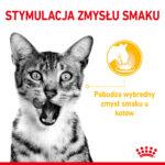 Karma Royal Canin Sensory Taste Sos - obrazek 11