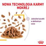 Karma Royal Canin Sensory Taste Sos - obrazek 13