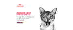Karma Royal Canin Sensory Taste Sos - obrazek 5