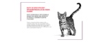 Karma Royal Canin Sensory Taste Sos - obrazek 7