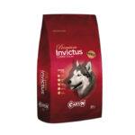 Canun Invictus Karma dla Psów Aktywnych 20kg