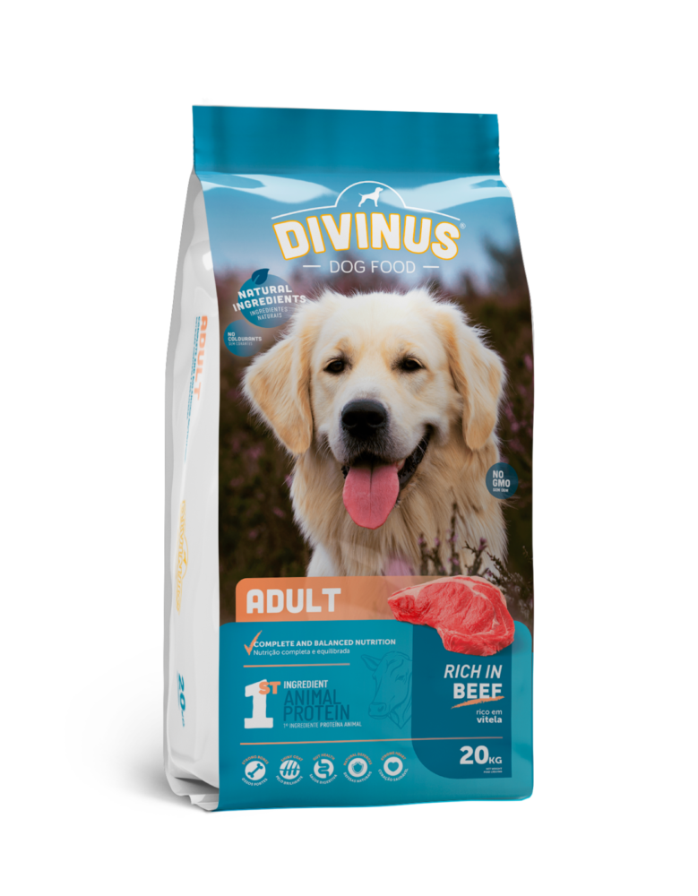 divinus_adult_20kg.png Divinus Adult Karma dla Dorosłych Psów 20kg - obrazek 1