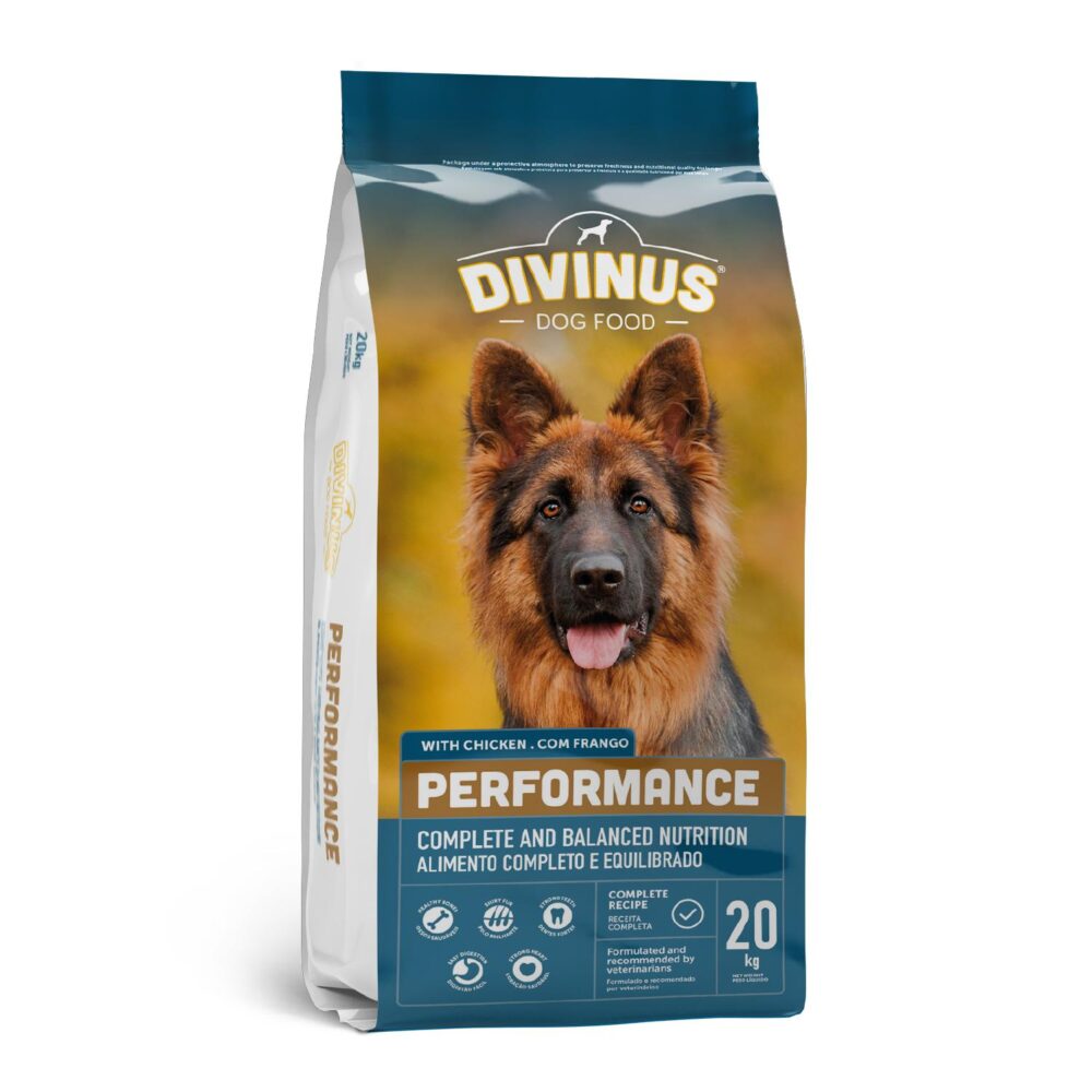 performance1_100.jpg Divinus Performance Karma dla Psów 20kg - obrazek 1
