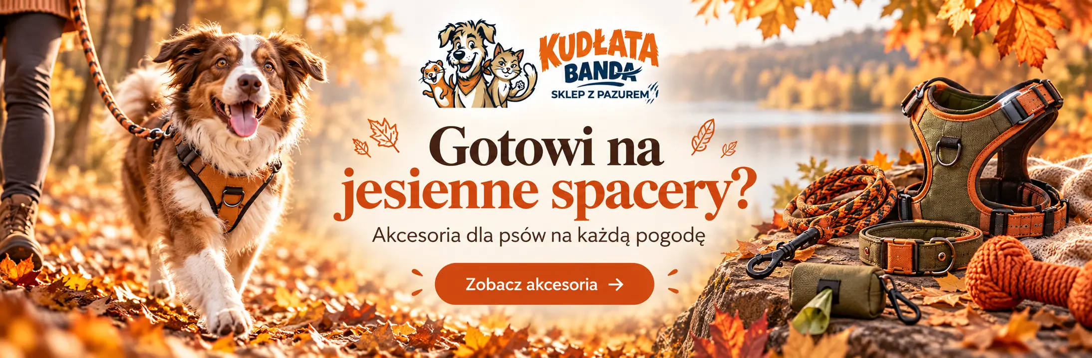 jesienne-spacery-baner Baner jesienne spacery